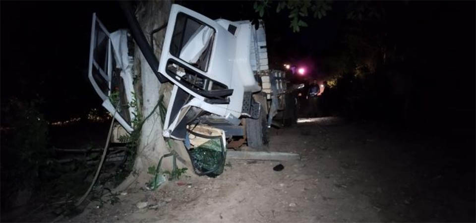 Motorista morre esmagado após bater caminhão contra árvore