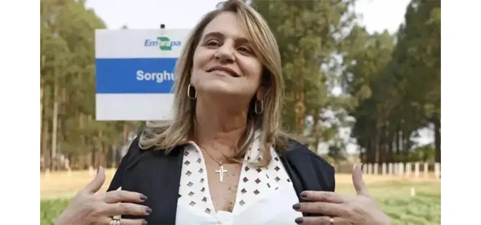 COP30 será momento para Brasil ‘dar show’ de agro sustentável, diz presidente da Embrapa