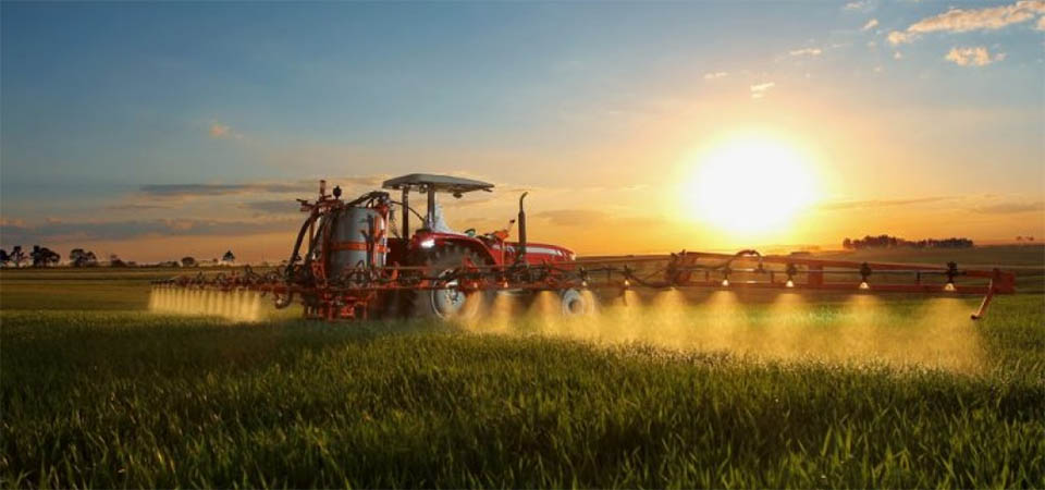 Embrapa explica quando aplicar dessecante na lavoura de soja para evitar prejuízos