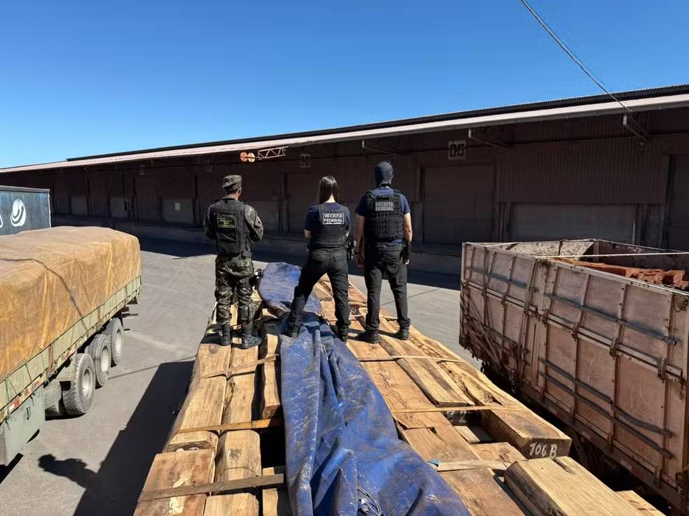 Operação apreende 260 toneladas de madeira com cocaína líquida em Mato Grosso e MS
