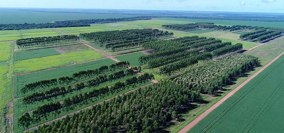 Embrapa apresenta opções para sistemas de produção no Show Safra