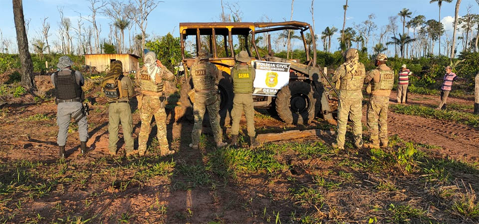 Operação Mata Virgem combate o desmatamento ilegal na região norte