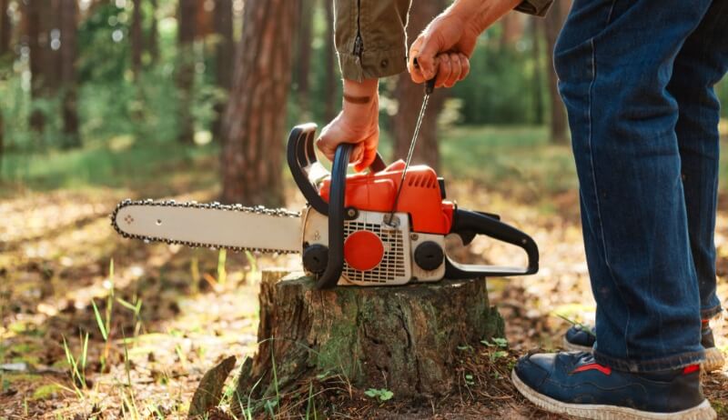 Itanhangá: Sitio é invadido e motosserras e roçadeira são furtadas