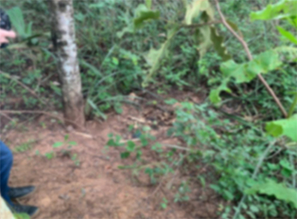 Corpo de rapaz desaparecido é localizado em estrada de terra