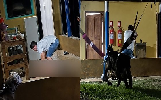 Tapurah: Homem mata colega de trabalho a pauladas em fazenda