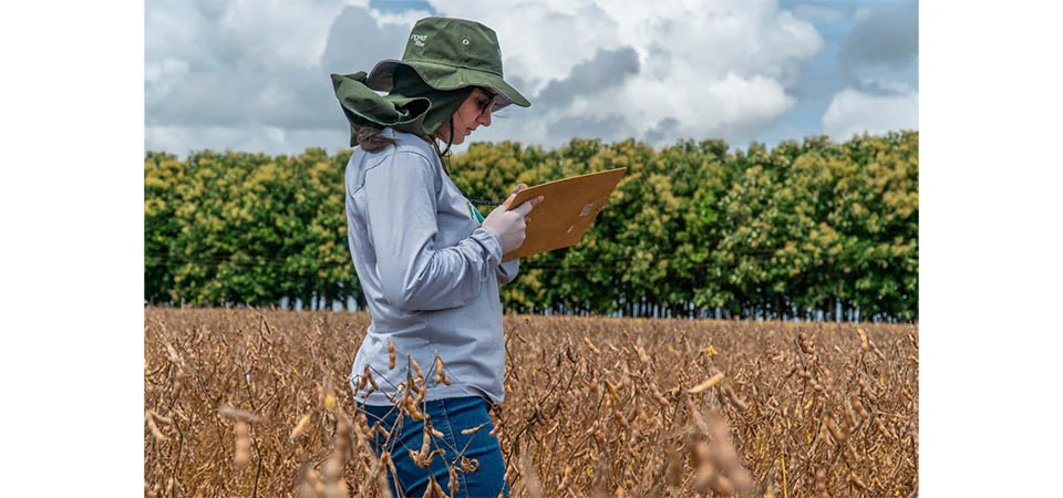 Pesquisas científicas voltada ao campo tornam lavouras mais eficientes e econômicas ao produtor