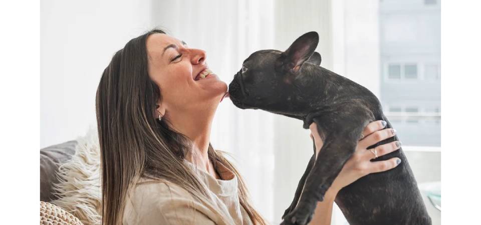 “Lambeijos”: entenda os riscos escondidos no comportamento dos pets