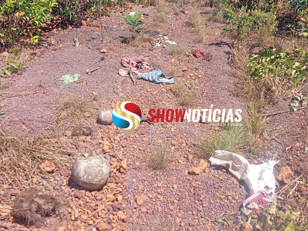 Ossada humana é encontrada em fazenda por trabalhadores