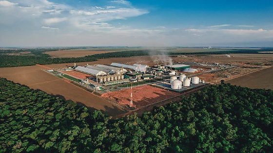 Usinas de etanol investem R$ 27 bilhões em MT e arrecadação chega a R$ 3 bilhões