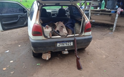 Homens invadem fazenda de senador, roubam e matam gado