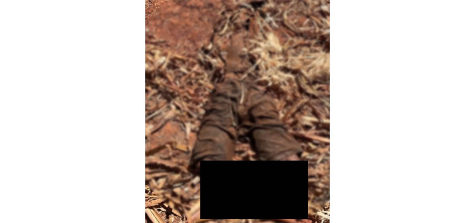 Custo do plantio do milho de alta tecnologia em Mato Grosso aumenta 34%