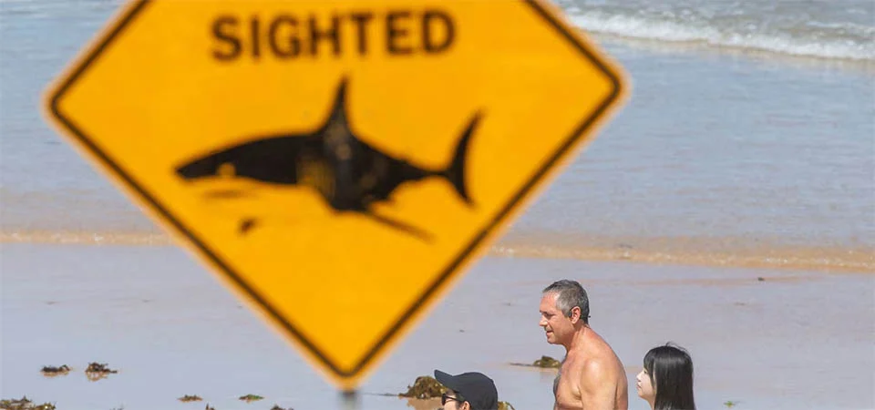 Quatro ataques de tubarão em dois dias: por que as praias da Austrália estão perigosas