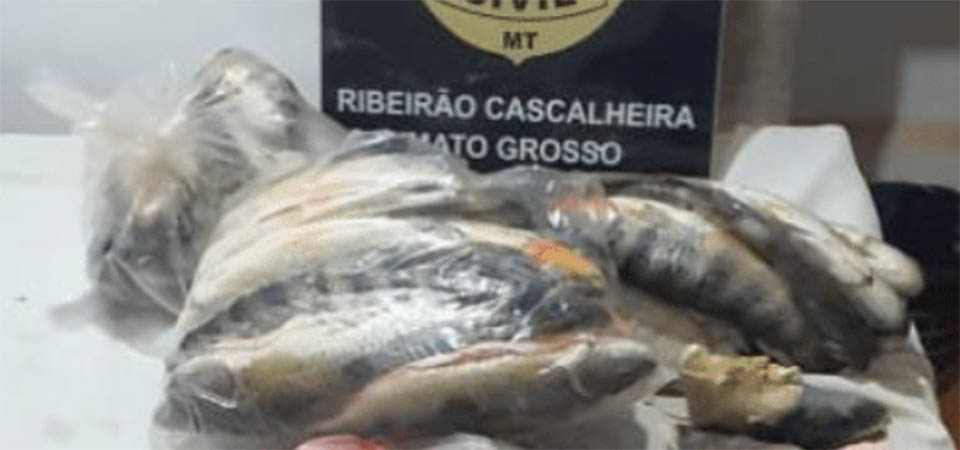Polícia prende homem com pescado e carnes de porco-do-mato e tatu
