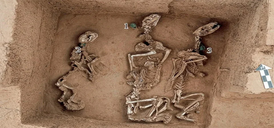 Arqueólogos acham fósseis que podem ter feito parte do primeiro zoo