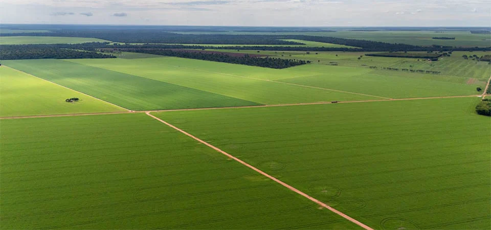 Aprosoja MT alerta que piso mínimo do frete amplia custos e compromete a competitividade do agro