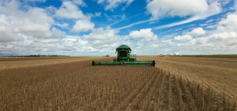 Produtividade da soja em MT sobe 7% e Imea projeta safra 25/26 acima de 50 milhões de toneladas