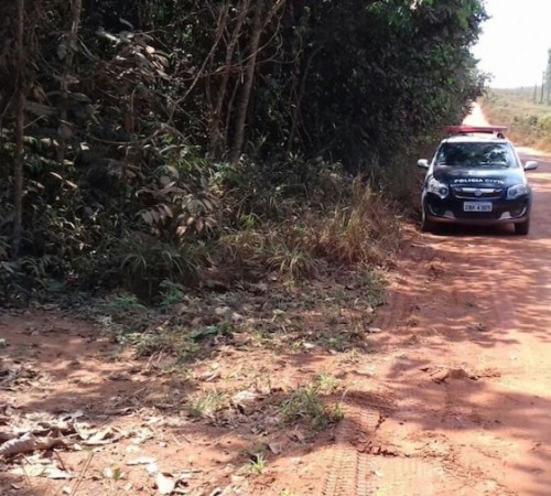 Ossada humana é encontrada na zona rural de Sinop