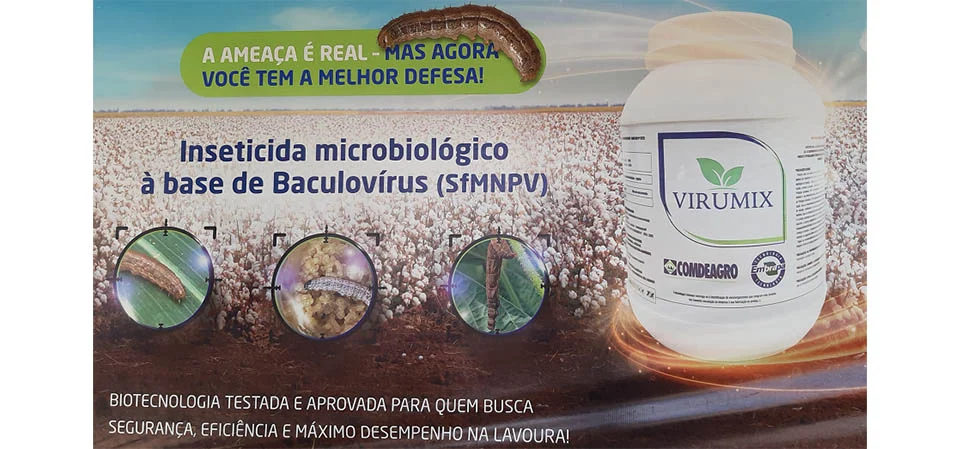 Controle eficiente da lagarta-do-cartucho