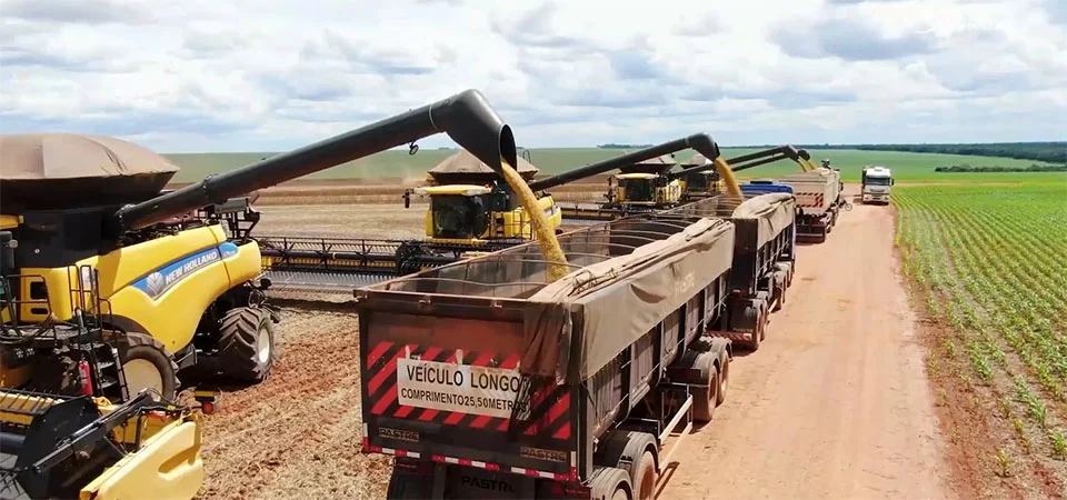 Déficit de armazenagem chega a 48,95 mi/t em Mato Grosso na safra 24/25