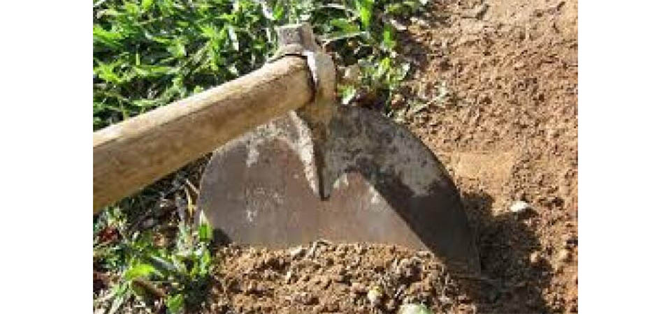 Facção “condena” mulher a capinar lote ou levar 40 mangueiradas