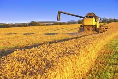 Setor de máquinas agrícolas tem 40% de crescimento em 2021