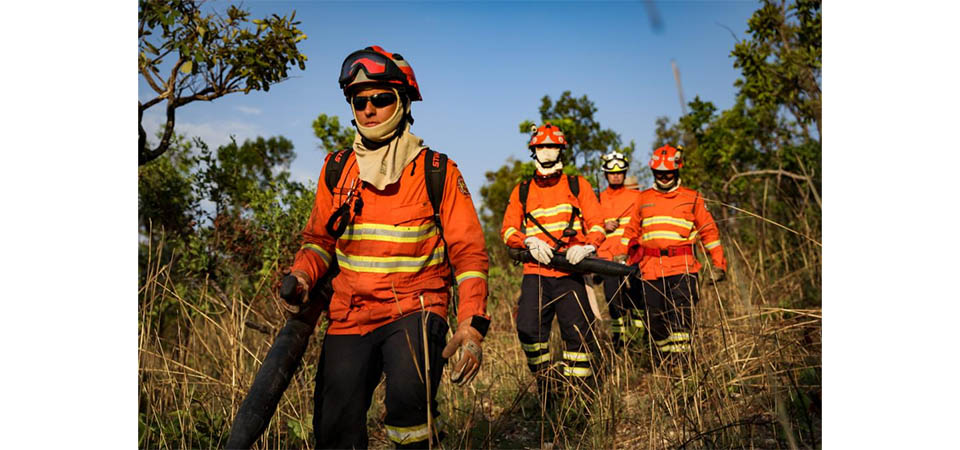 Governo de MT prorroga período proibitivo para queimadas até 30 de novembro