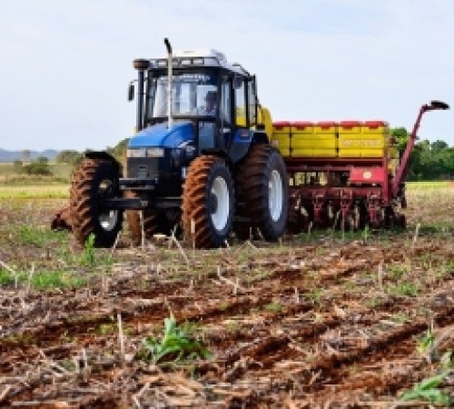 Chuvas regulares em MT impulsionam plantio de soja