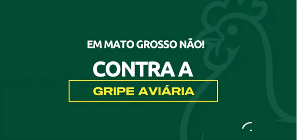 INDEA lança vídeo para produtores identificarem gripe aviária. Assista