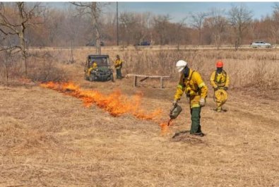 Situação de emergência ambiental começa a valer em MT