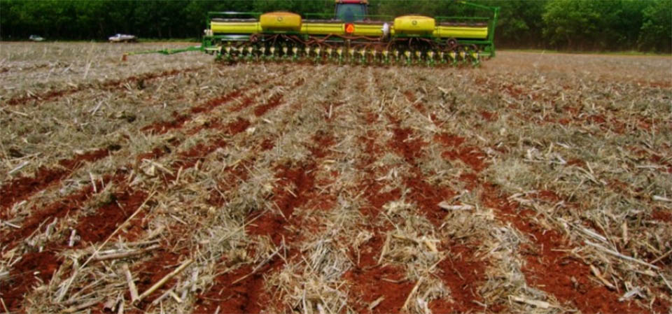 Plantio de soja já está liberado em MT para a safra 2023/2024