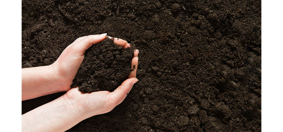 Operação integrada impede segunda invasão de terras em fazenda