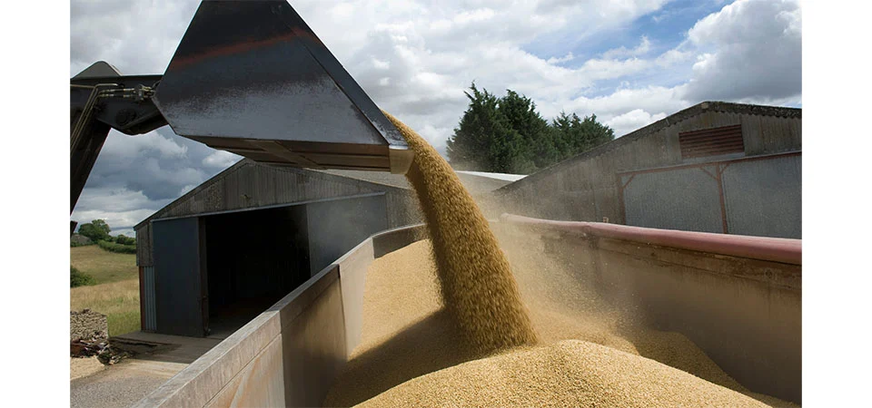 Fretes rodoviários de grãos sobem em MT