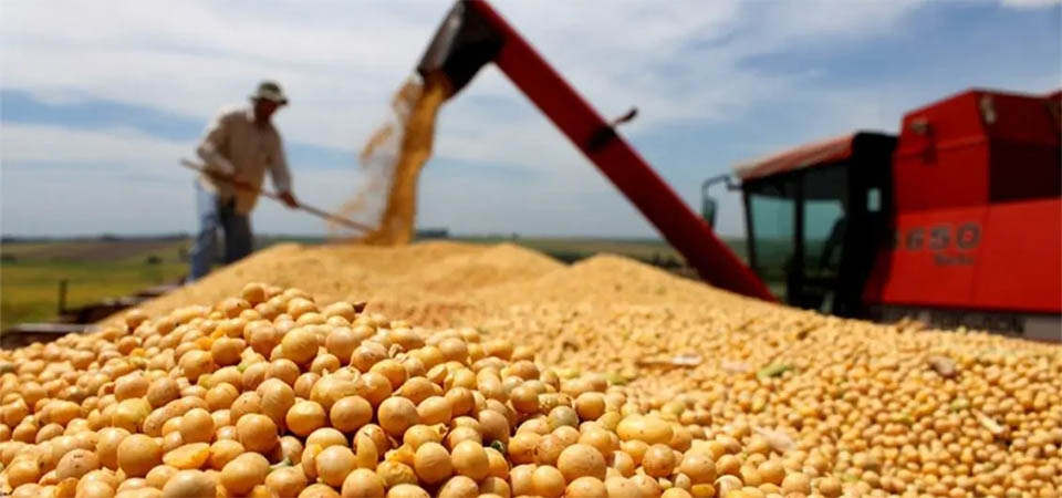 Mato Grosso vai sofrer a maior quebra de safra de soja da história