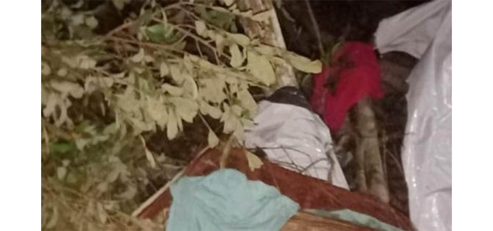 Árvore cai e mata casal que estava dormindo em barraca