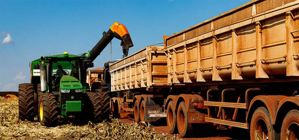 Mato Grosso finaliza colheita da 2ª safra de milho com recorde de produção