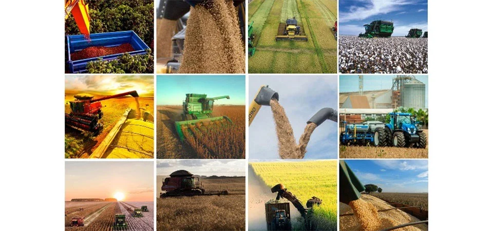 Mato Grosso Deverá Responder por 30% da Safra Recorde de Grãos no Brasil