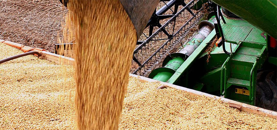 Custo operacional da soja em Mato Grosso tem novo aumento