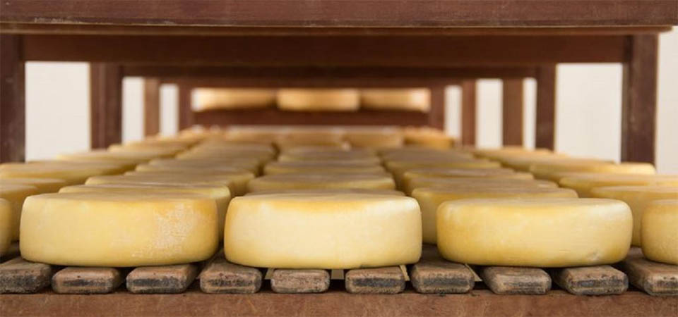 Governo regulamenta normas para manipulação e beneficiamento de produtos da agroindústria familiar