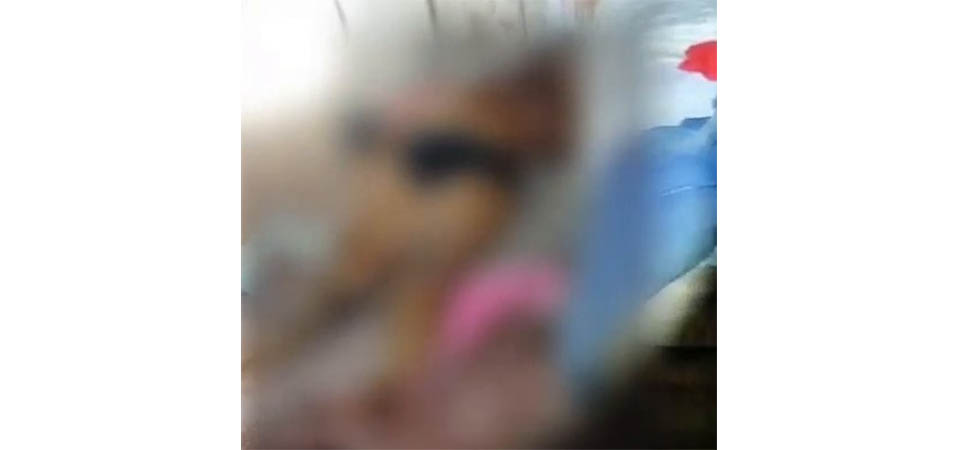 Brasnorte: Mulher é encontrada morta dentro de casa; polícia investiga feminicídio