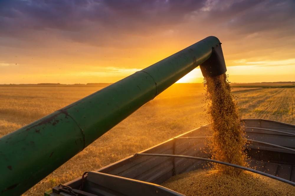 Mato Grosso tem 10 dos 20 municípios que mais produzem soja no Brasil