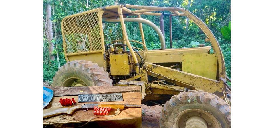 Batalhão Ambiental prende dupla por extração ilegal de madeira e porte ilegal de arma