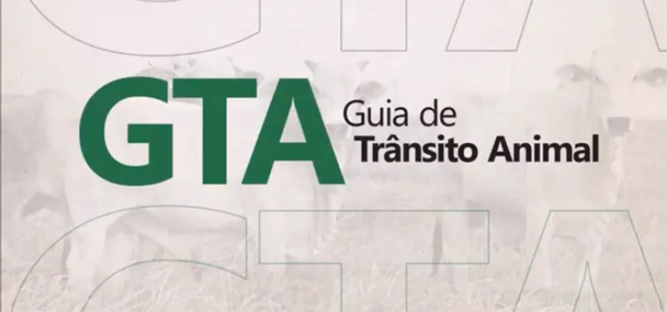 Itanhangá: INDEA orienta como o produtor pode emitir a GTA. Vídeo
