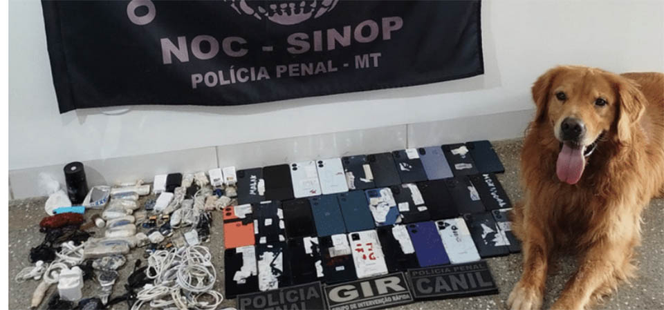 30 celulares são apreendidos na penitenciária Ferrugem