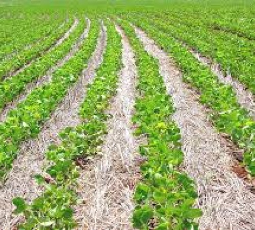 Produtores investem na conservação e preservação do solo em Mato Grosso