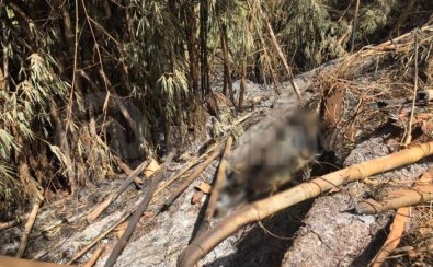 Produtor rural encontra corpos de casal em chamas