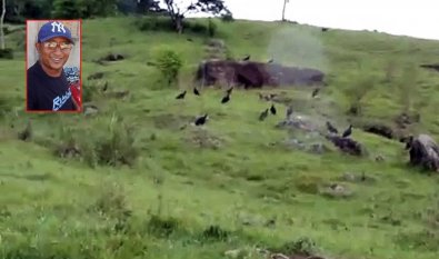 Trabalhador rural é encontrado morto e sendo comido por urubus