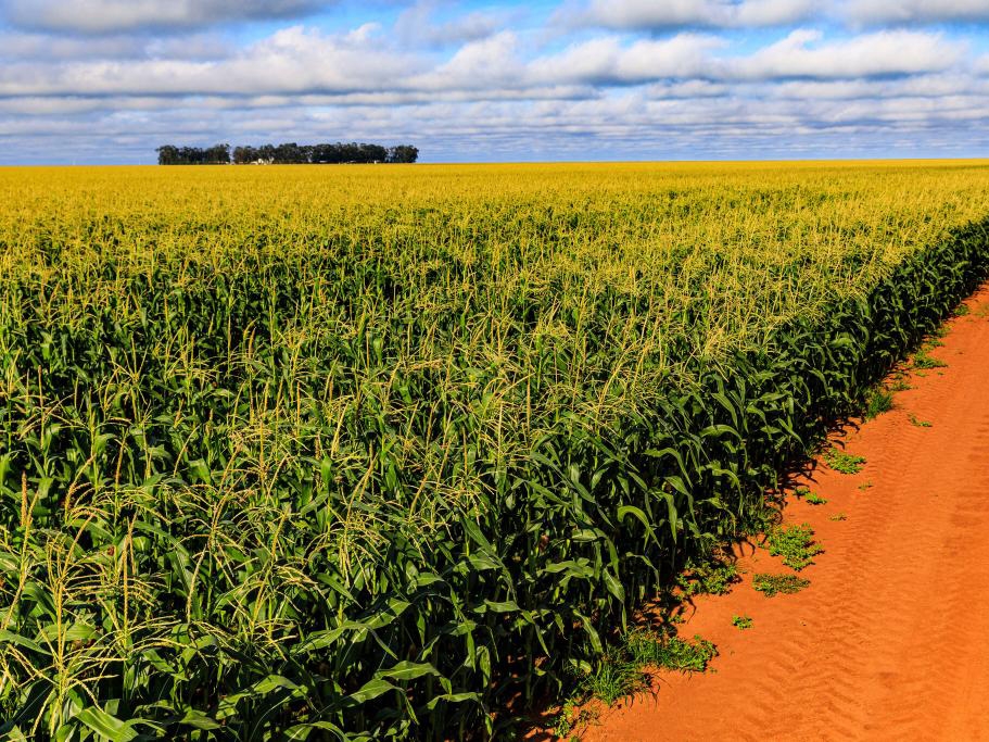 Sema prorroga Autorização Provisória de Funcionamento de Atividade Rural