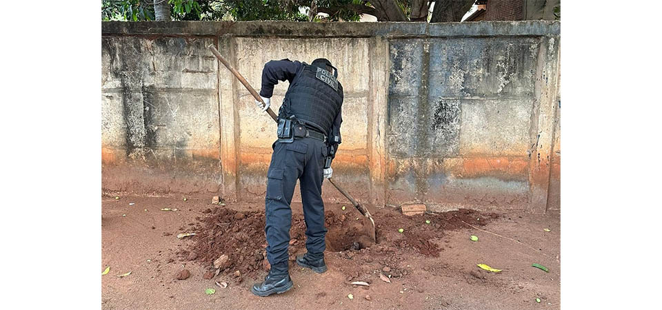 Forças policiais impedem invasão de fazenda e apreendem arsenal de armas de fogo