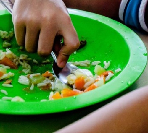 21% das prefeituras de MT não têm controle para a compra de merenda escolar, diz TCE