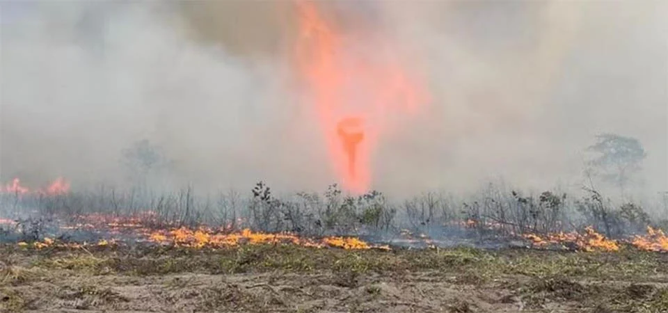 Novas regras obrigam fazendas a prevenir incêndios florestais